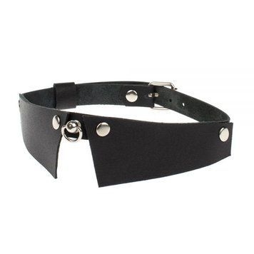 Нашийник Strict Style, Smooth Black 53356 фото